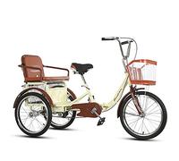 Bici a Tre Ruote Triciclo Adulti 20 Pollici, Triciclo a Catena Singola, Pedali Ciclismo con Sedile Posteriore, Design Tradizionale Anziani, pedalata assistita