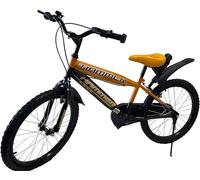 Bici da bambino modello Hammer con accessori misura 20" bici da passeggio per bambini (Arancio)