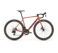 MEGAMO Raise 04 2026 Bike MARRONE M