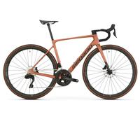 MEGAMO Raise 15 2026 Bike CHAMPAGNE S