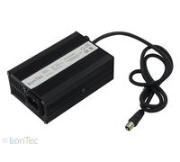 Bici Elettrica Batteria 36V (37V) - 13Ah (per E-Go Ebikes Ughi Caricabatteria