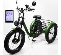 Bici Elettrica Con Pneumatici Fat Da 24 Pollici, Triciclo Elettrico Da Carico A Tre Ruote Per Adulti Da 48 V Con Batteria Rimovibile, Display Lcd Intelligente + Clacson, 3 Modalità Di Guida,Green