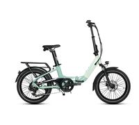 Bici elettrica per adulti JOBOBIKE Ace Pro 250W 36V10AH - Nouvo