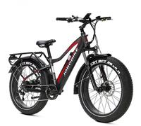 Bici Elettrica per Adulti JOBOBIKE Robin 26'' Motore Bafang 250W 48V13AH - Nouvo