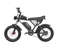 Bici elettrica Ridstar Q20, pneumatici grassi da 20*4 pollici, batteria rimovibile 48V 20Ah, velocità massima di 30mph, doppi freni idraulici Q20