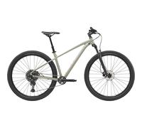 Bicicletta Cannondale Trail 1 Shimano Cues 10v Gris