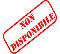 Bicicletta City Touring GALANT VEN26SC da donna 26" Venere acciaio senza cambio