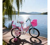 Bicicletta da 16 pollici con cestino anteriore e rotelle di supporto, bici da città, colore casuale 16 polliciAcciaio al carbonio