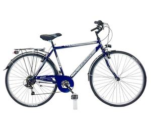 Bicicletta da città Canellini Moving Acciaio Uomo 28" (blu)