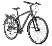 Bicicletta da città per donne Leader Fox Ferrara 2023 Gris