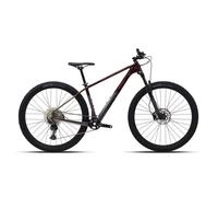 Bicicletta da montagna Polygon Syncline C3 Shimano Deore RD-M6100 12V Marron