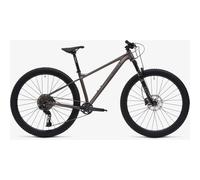 Bicicletta da montagna Welt Rambler Shimano Cues RD-U6020-11V Gris