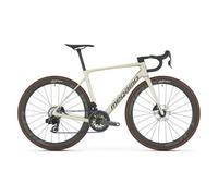 MEGAMO Raise 04 2026 Bike CHAMPAGNE M