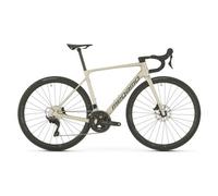 Megamo Bici da strada Raise 20 2026 Champagne XL