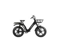 Bicicletta da transporto COPPI Cargo Lipari