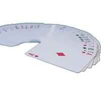 Bicicletta doppia faccia regolare indice Magic carte da gioco Bicycle Double Face Regular Index Magic Playing Cards