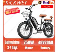 Bicicletta elettrica 750W potente motore 48 v20ah batteria al litio adulto bici elettrica a due posti 20*3.0 pollici pneumatico genitore-figlio E-Bike 750W 48V20AH