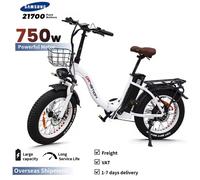 Bicicletta elettrica 750W Potente Motore 48V40AH Doppia Batteria Freno A Disco Idraulico E-bike 20*4.0-In Fat Tire Bici Elettrica Pieghevole Disc Break 750W 48V10AH
