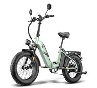 Urbanbike FAFREES FF20 Polar - Motore nel mozzo, doppia batteria 48V 13,4Ah, autonomia 130 km