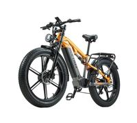 Bicicletta elettrica PULUMA PH003 a doppio motore con batteria da 48 V