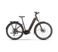 Bicicletta elettrica raymon tahona wave shimano essa 8v 600wh 29 marrone 2025