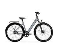 Bicicletta elettrica Tenways CGO800S Gris