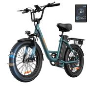 Bicicletta elettrica URLIFE E20 250W 48V 13Ah Fat Tire Verde
