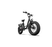 Bicicletta elettrica URLIFE E20 Pro con batteria da 48 V 15,6 Ah, display LCD e portapacchi posteriore - nero - Nouvo