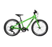 Bicicletta per bambini 5,5-8 anni - 20 pollici M20 Bemoov ( Verde )