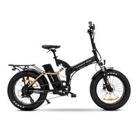 Bicicletta pieghevole ARGENTO Bimax Xl