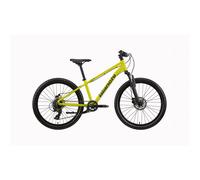Bicicletta urbana per bambini Bianchi XR24 330H RD-TY800 8V Jaune
