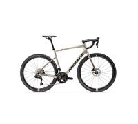 Biciclette da strada Argon 18 Equation 105 Di2 Gris