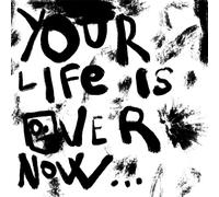 Bicurious Your Life Is Over Now (Vinyl LP) 12" Album