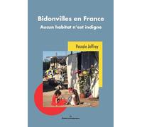 Bidonvilles en France: Aucun habitat n'est indigne