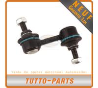Biella Barra Stabilizzatrice Asse Posteriore BMW Serie 5 E39 - 33551095532