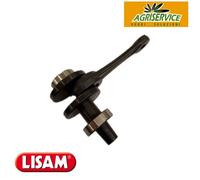 Biella con albero a gomito ricambio abbacchiature a batteria Lisam OLIWATT 2