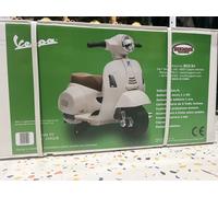 Moto elettrica Biemme by Bcs Vespa 6V 1002 B