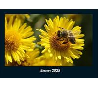 Bienen 2025 Fotokalender DIN A4: Monatskalender mit Bild-Motiven von Haustieren, Bauernhof, wilden Tieren und Raubtieren