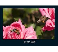 Bienen 2025 Fotokalender DIN A4: Monatskalender mit Bild-Motiven von Haustieren, Bauernhof, wilden Tieren und Raubtieren
