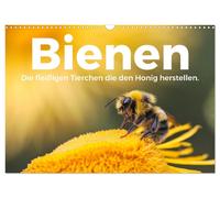 Bienen - Die fleißigen Tierchen die den Honig herstellen. (Wandkalender 2027 DIN