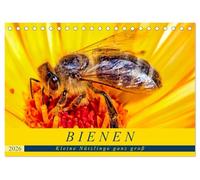 BIENEN - Kleine Nützlinge ganz groß (Tischkalender 2026 DIN A5 quer), CALVENDO Monatskalender: Natürliche Makro-Momentaufnahmen in freier Natur