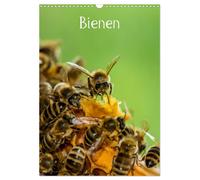 Bienen (Wandkalender 2027 DIN A3 hoch), CALVENDO Monatskalender