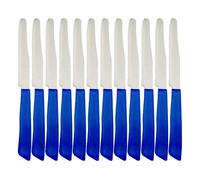 BIERRE STORE COLTELLO INOXBONOMI DA TAVOLA 12PZ BLU