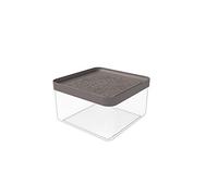 BIESSE PI 430/20-Contenedor hermético, Marrón, 19 x 19 x 13.4 cm Contenitore Multiuso per Alimenti, Tortora
