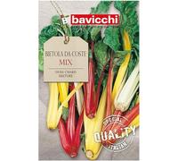 Bietola da Coste Mix Semi Beta Vulgaris Tre Colori Bavicchi