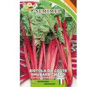 Bietola da Coste Rhubarb Chard- Semi di Bietola a Coste Rosse e Verde Intenso, Gustosa e Ricca di Nutrienti, Semina da Febbraio a Settembre 1 confezione