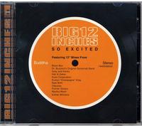 Big 12 Inches - So Excited (pointer Sisters / Martha Wash)