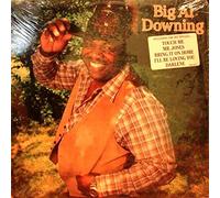 BIG AL DOWNING - big al downing LP
