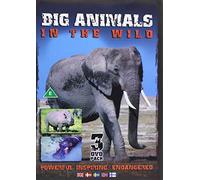 Big Animals - Big Animals in The Wild [DVD] [Edizione: Regno Unito]