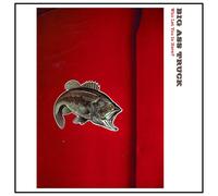 Big Ass Truck Who Let You In Here? (Vinyl LP)